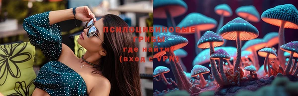 прущая мука Алексин