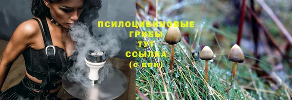 СК Алзамай